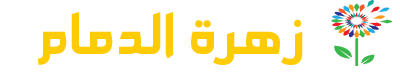 زهرة الدمام
